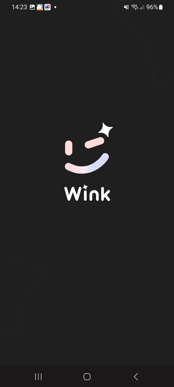 wink修图2023最新版