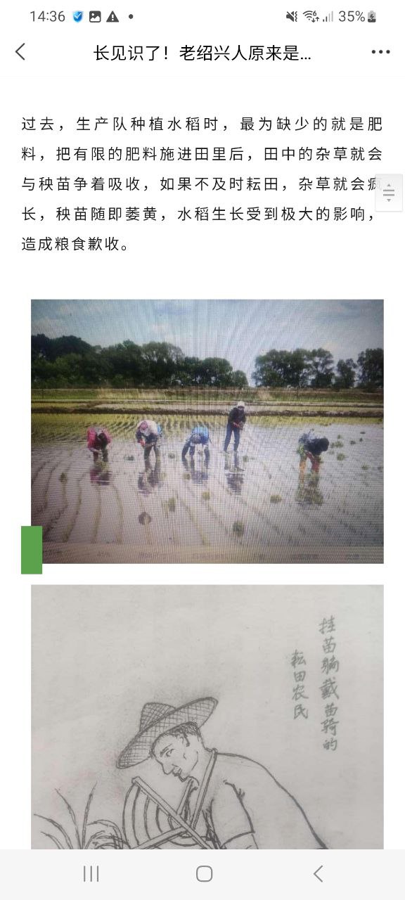 绍兴E网纯净手机版下载安装