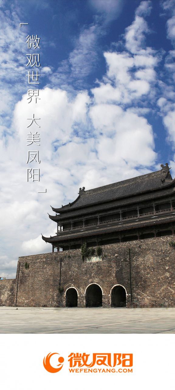 下载微凤阳2023最新app
