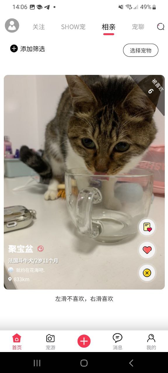 SHOW宠么