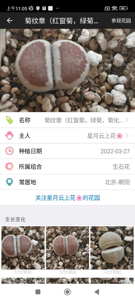 爱花草