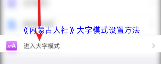 《内蒙古社保12333》如何设置大字模式
