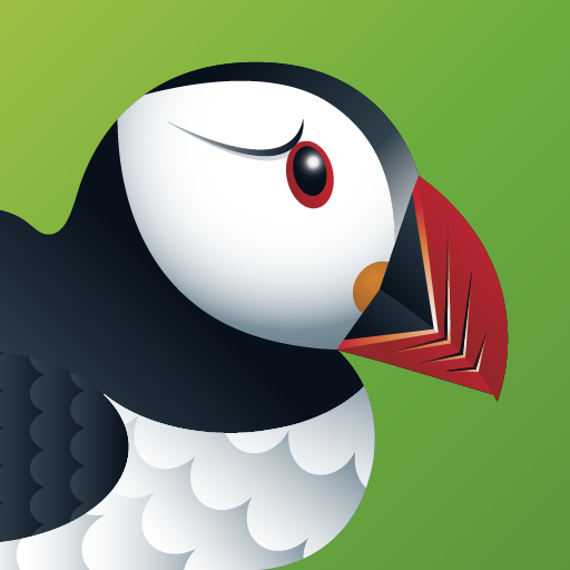 puffin浏览器安卓版