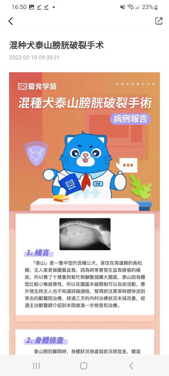 爱宠采购下载