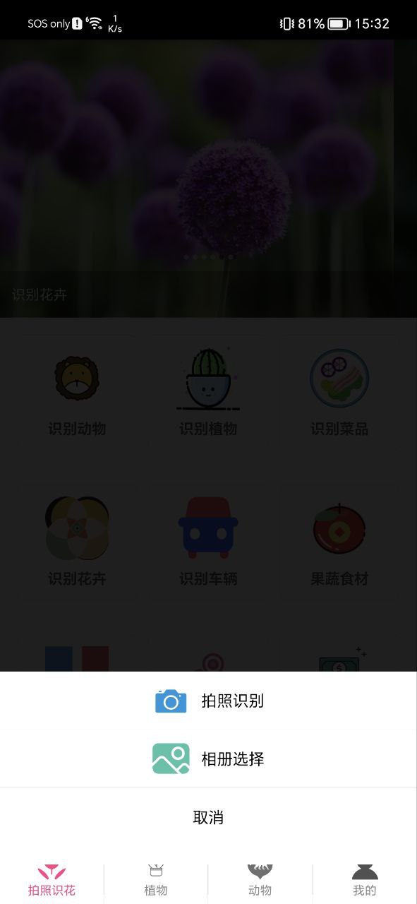 拍照识花神器安卓下载