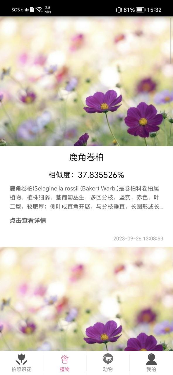 拍照识花神器安卓下载