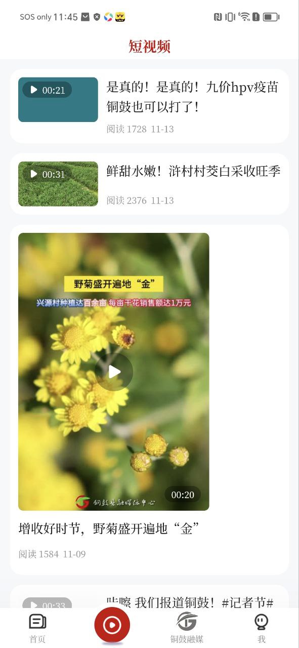 今日铜鼓最新