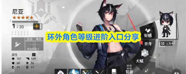 环外角色等级提升路径大揭秘