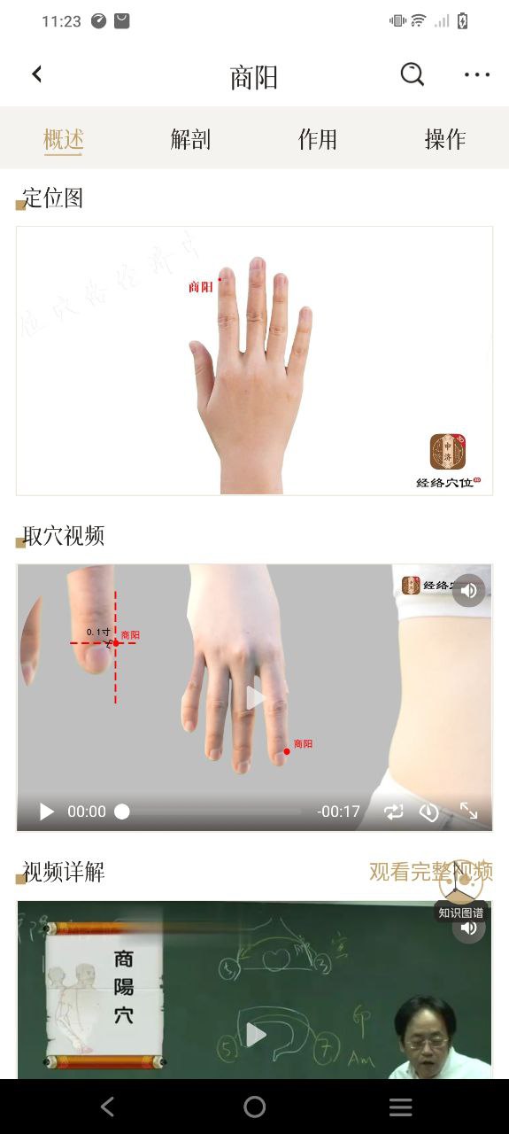 中济经络穴位免费下载