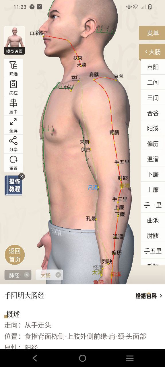 中济经络穴位免费下载