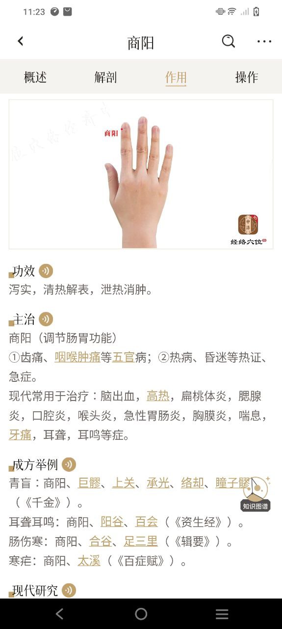 中济经络穴位免费下载