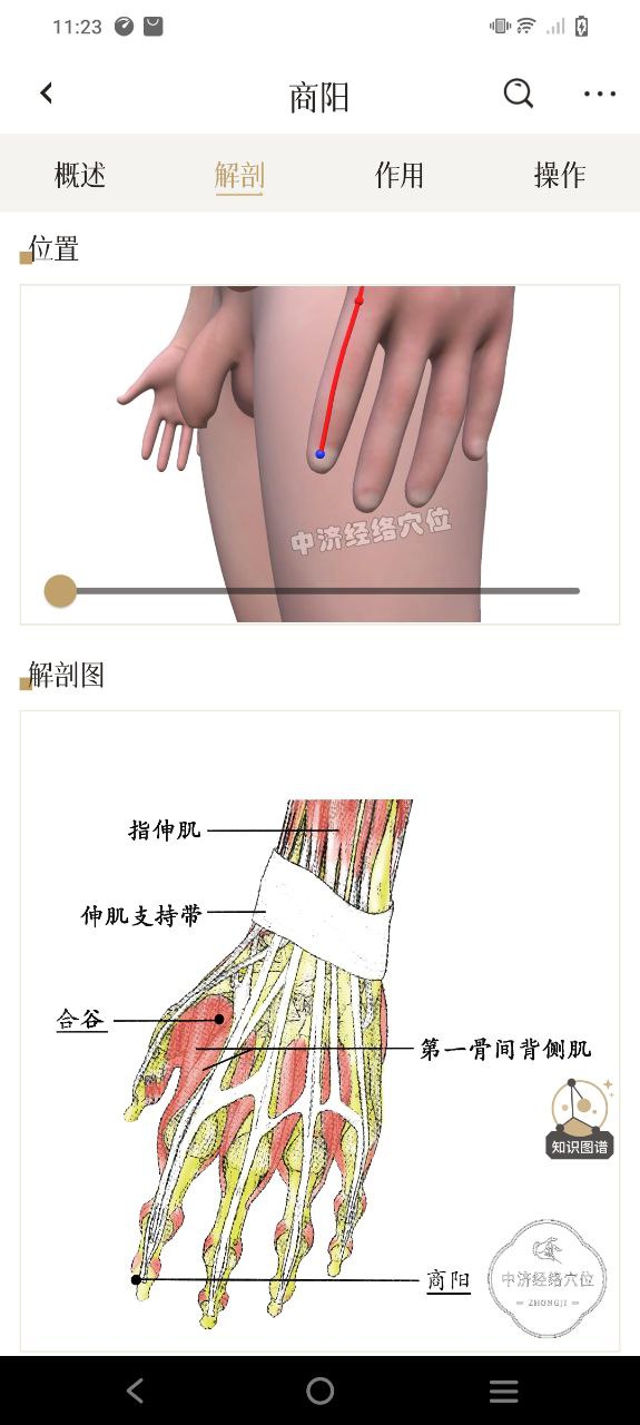 中济经络穴位免费下载