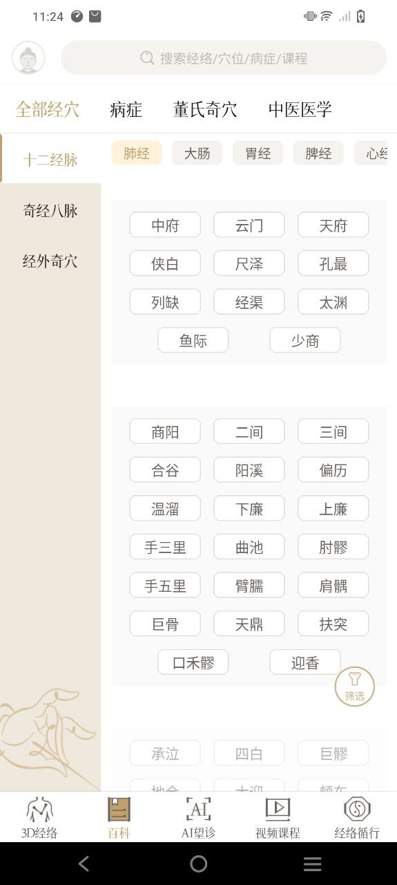 中济经络穴位免费下载