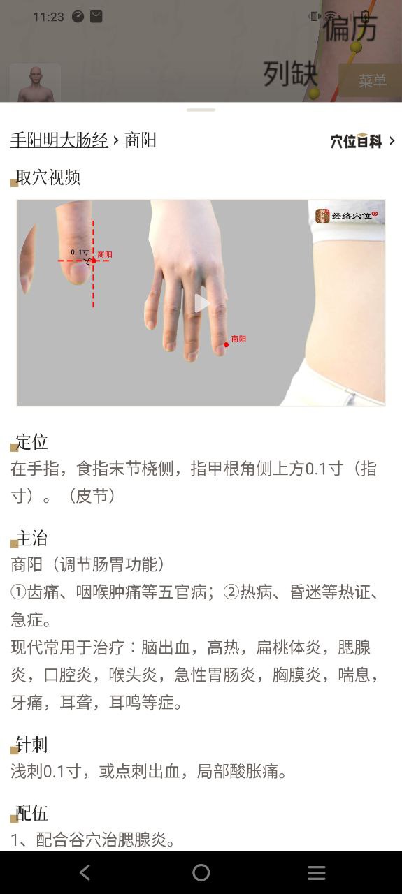中济经络穴位免费下载