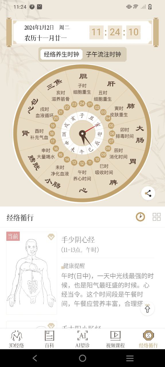 中济经络穴位免费下载