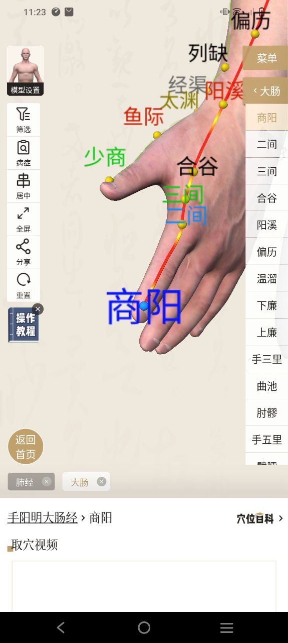 中济经络穴位免费下载