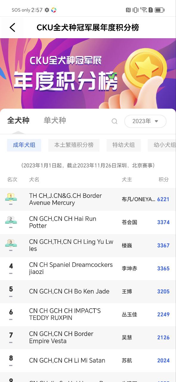 宠爱王国安装