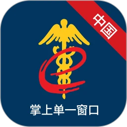 掌上单一窗口2025