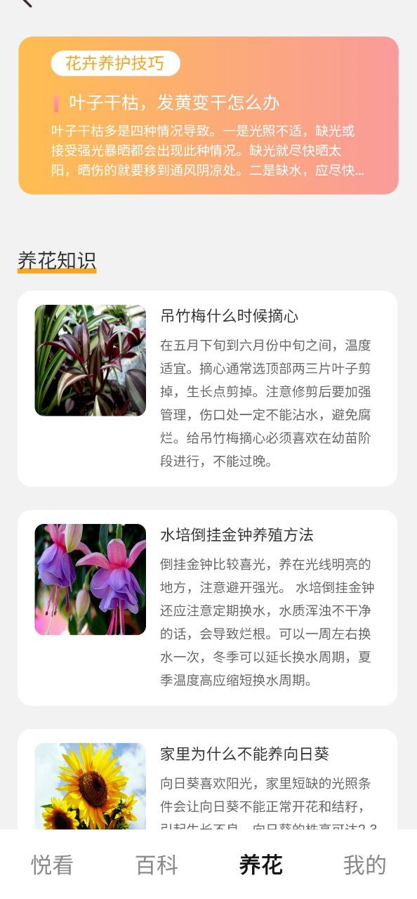 百花悦看安卓