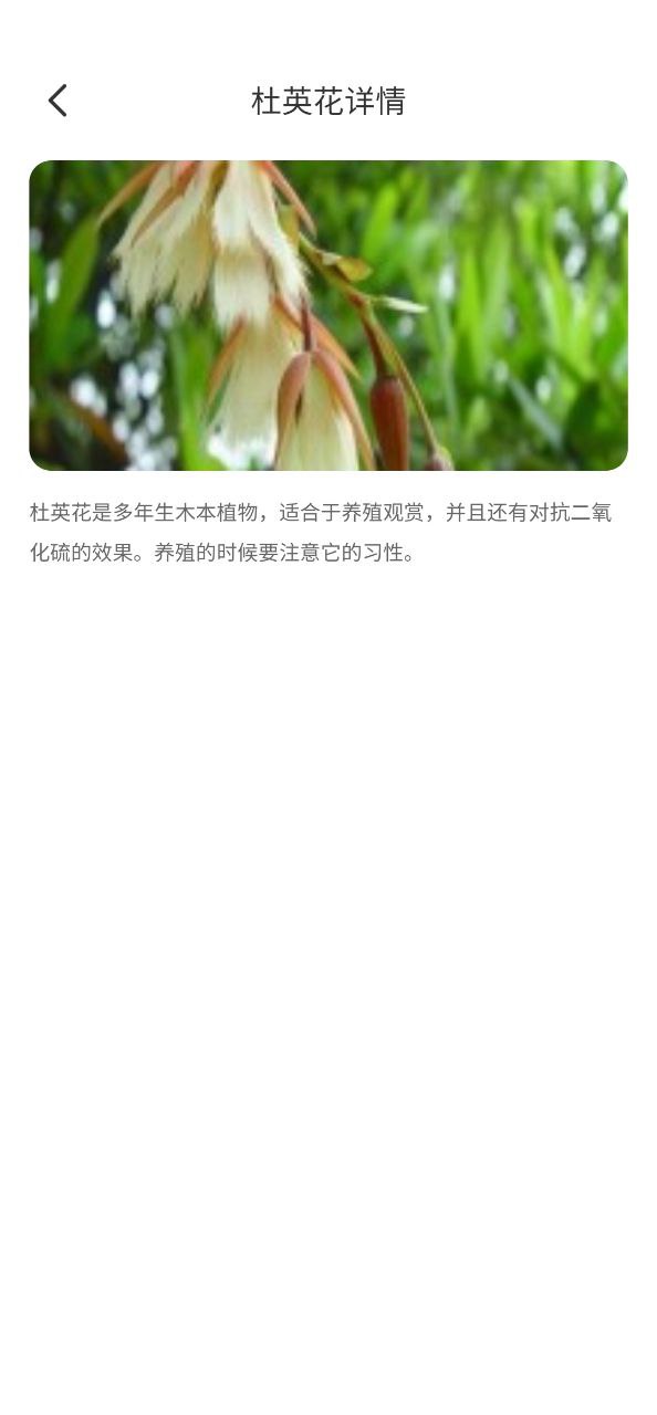 百花悦看安卓