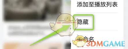 隐藏视频