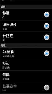 专业调音器2025