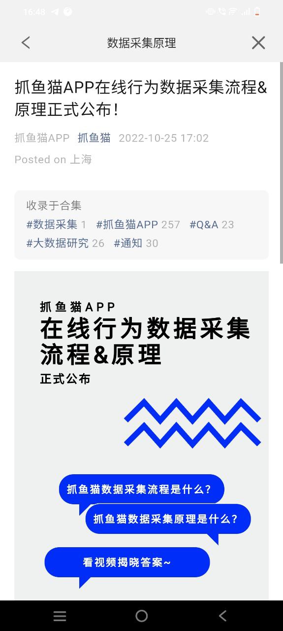 下载抓鱼猫2023应用