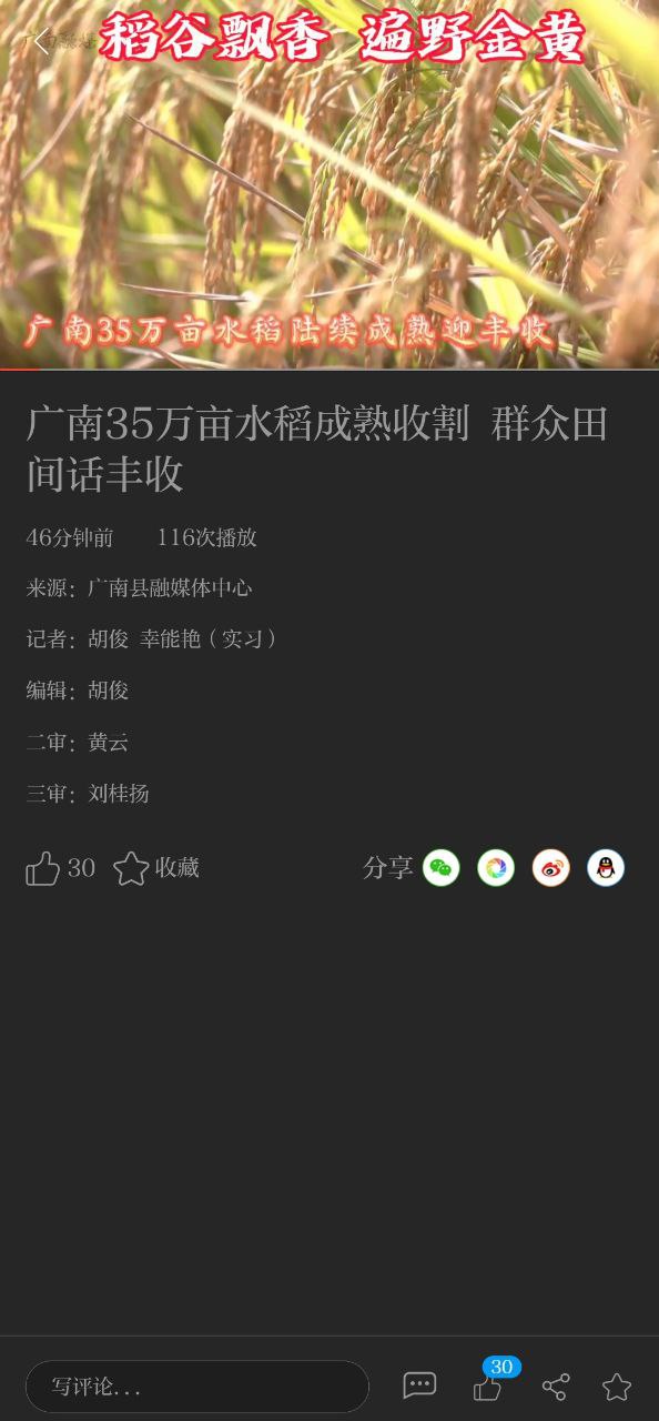 今日广南纯净手机版下载安装