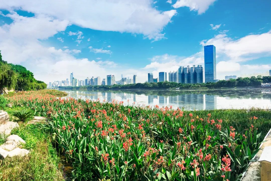 多功能旅游助手与住宿管理工具